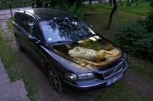 Auto aplīmēšana